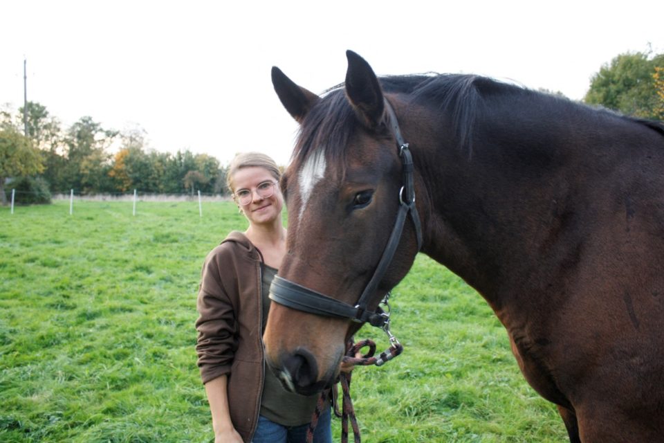 La ferme des heirbes Libres - cheval de trait et traction animale